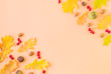 Flat lay frame with colorful autumn leaves, acorns and berries on a color background