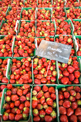 Strawberries, food market, Dijon, Burgundy, France, Europe