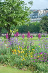 Tuileries Garden, Paris, France