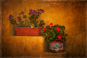 Stepped flower boxes with texture