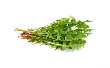 Dandelion leaves  isolated on a white background.