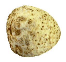 celery root on white background