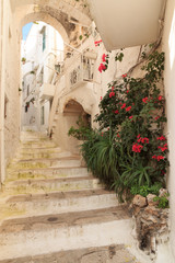 Italy, Ostuni. The 'White City' arches staircase. Flower covered.