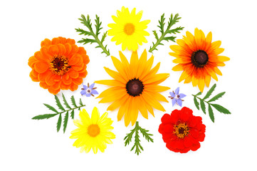 Flat lay composition of beautiful home garden summer flowers isolated on a white background.