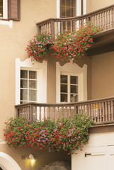Fototapeta na wymiar Italy, St Ulrich, Flowers on balcony