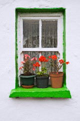 Fototapeta na wymiar Ireland, Cashel. Potted flowers on a window sill. 