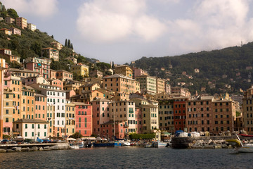 Italy, Camogli. Boats moored in harbor with colorful town buildings in background.