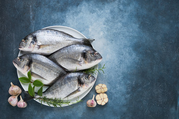 Four Fresh Royal Dorades on a dish on blue backdrop. Healthy food concept. Top view, copy space. Mediterranean seafood concept.