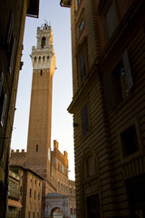 Obraz premium Italy, Tuscany, Sienna. Looking down a narrow street at the Torre del Mangia framed by buildings.
