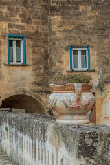 Fototapeta na wymiar Italy, Basilicata, Province of Matera. Stone houses and Urn with rosemary plant.