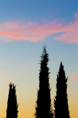 Italy, Orvieto. Cypress trees and cloud at sunset. Credit as: Gilles Delisle / Jaynes Gallery /...