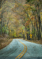 Rural Road in Fall