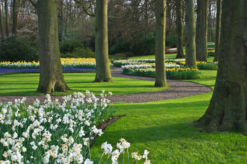 Netherlands, Lisse. Blooming flowers and trees surround winding walkway at Keukenhof Gardens. 