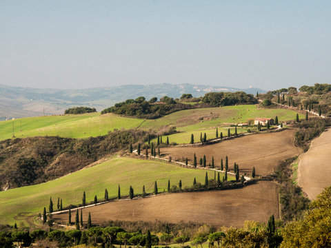 Italy, Tuscany. Zig zag road near La Foce in Tuscany.