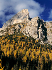 Italy, Sella Mountains. The sharp crags of the Sella area of Italy's Dolomite Alps are framed by pines.