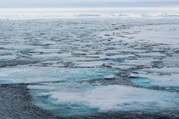 Plakat Norway. Svalbard. At 80 degrees north right on the edge of the pack ice, as brash ice ends and open water begins.
