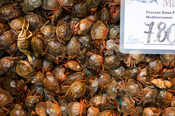 Mass Crab set out for sale at the Fish Market.