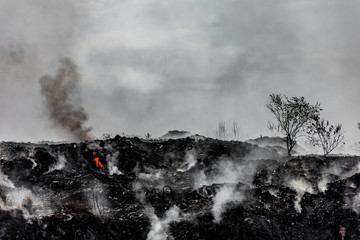 Waste is burn in a landfill
