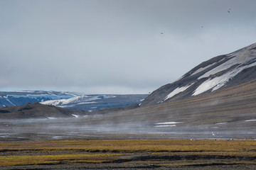 Norway. Svalbard. Barentsoya. Freemansundet. Steam rising from the ground where daytime sun hits the damp ground.