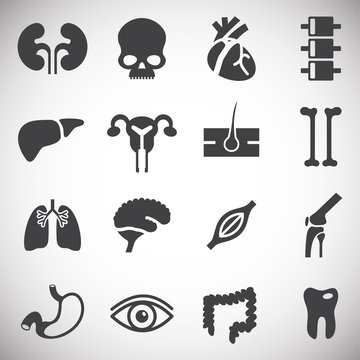Human organs related icons set on background for graphic and web design. Simple illustration. Internet concept symbol for website button or mobile app.