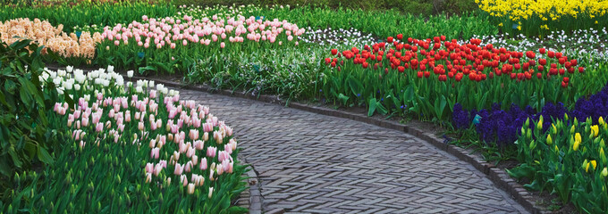 The Netherlands, Lisse. Scenic in Keukenhof Gardens. Credit as: Dennis Flaherty / Jaynes Gallery / DanitaDelimont. com
