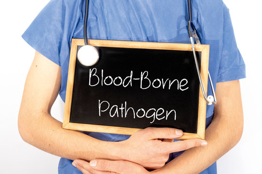 Doctor Shows Information On Blackboard: Blood-borne Pathogen.  Medical Concept.