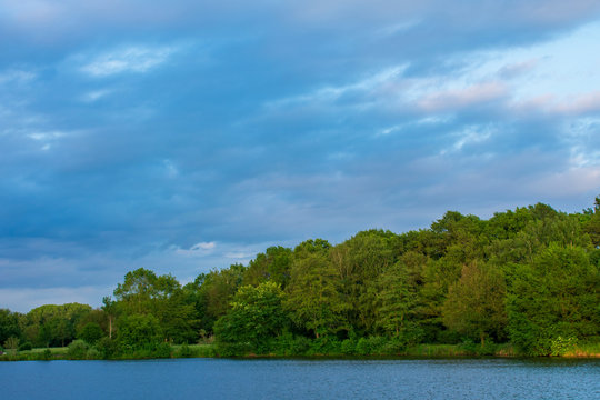 Wald am See, bei blauem Himmel. Standort: Deutschland, Nordrhein-Westfalen, Hoxfeld