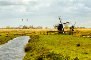 Fototapeta premium 2 birds flying across a field with 2 windmills