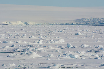 Norway. Svalbard. Hinlopen Strait. © Inger Hogstrom/Danita Delimont
