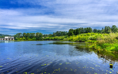 Houses Lake Washington Juanita Bay Park Kirkland Washington