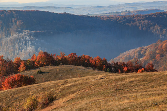 Transylvania, Romania, Maramures County, Dobricu Lapusului and Targu Lapus, territorial view. Fall colors.
