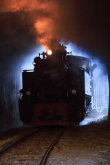 Romania, Viseu de Sus. Carpathian Forest Steam train. Vaser Valley Railway. Wood-burning, steam locomotive. Narrow-gauge railway. Initiated 1932.