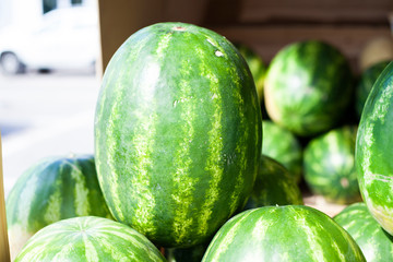 Watermelons in the market. Big juicy berry. Watermelon is green and striped. A lot of watermelons at a trading shop. Georgian watermelon.