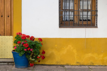 Spain, Andalusia. Cordoba. Picturesque scene of a stucco house and pot of geraniums.