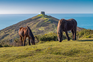 Rame Head in Cornwall on the south Cornish Coast