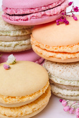 Few colored macarons on a white background