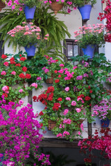 Fototapeta na wymiar Spain, Andalusia. Cordoba. Flowers galore adorn houses during the Festival of the Patio.