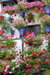 Fototapeta na wymiar Spain, Andalusia. Cordoba. Flowers galore adorn houses during the Festival of the Patio.