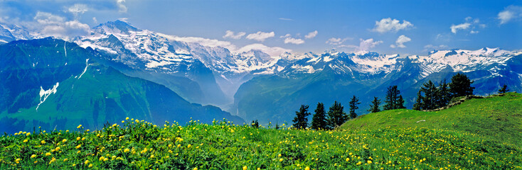 Switzerland, Schniggeplatte. The Schniggeplatte offers one of the best views of the peaks, a World...