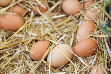 Spain, Balearic Islands, Mallorca. Palma street market eggs.