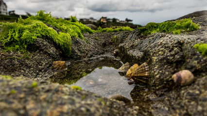 Steinstrand