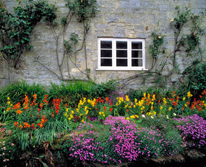 Fototapeta na wymiar England, Teffont Magna. Flowers fill the garden of a stone house in Teffont Magna, in Wiltshire, England.