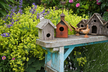 Bird houses on bench in garden. 