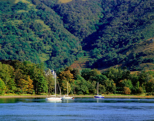 Scotland, Highland, Wester Ross, Onich. Sail boats are moored in Onich harbor on Loch Linnhe in the...