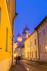 Fototapeta na wymiar Alexander Nevsky Church in the Old Town at Dusk, Tallinn, Estonia