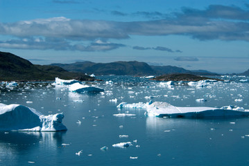 Greenland, Narsaq Sound. A sea of icebergs on Narsaq Sound in southern Greenland.