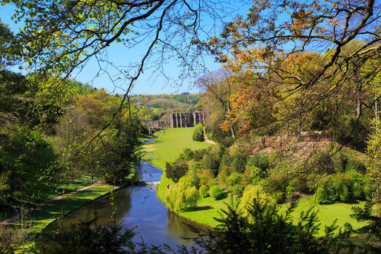 England, North Yorkshire, Ripon. Fountains Abbey, Studley Royal. UNESCO World Heritage Site. National Trust, Cistercian Monastery. River Skell and Surprise view.