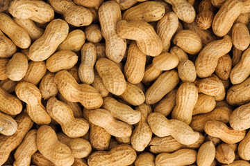 Close-up of unshelled peanuts. 