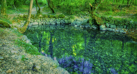 Source of the Grab stream, the tributary of the river Cetina, Croatia