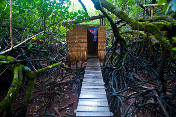 Jungle toilet on a an islet at the Marovo Lagoon, Solomon Islands, Pacific